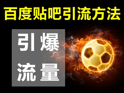 香港白小组资料大全