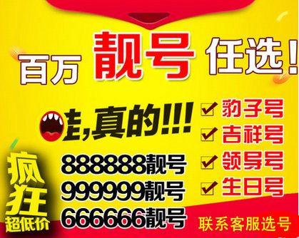 香港白小组资料大全