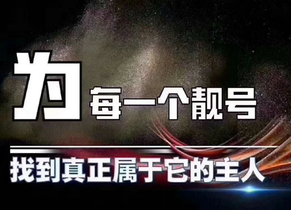香港白小组资料大全