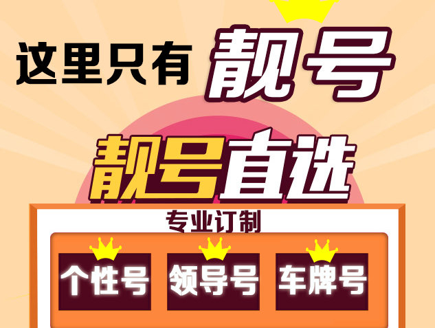 香港白小组资料大全