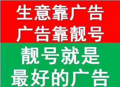 香港白小组资料大全
