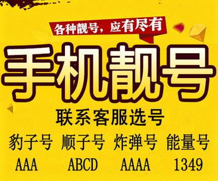香港白小组资料大全