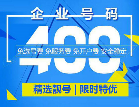 香港白小组资料大全